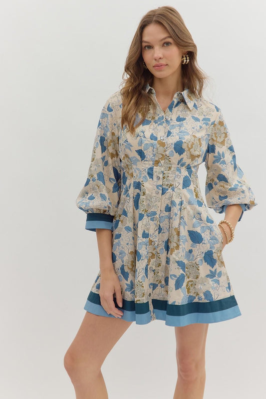 Blue Floral Collar Dress
